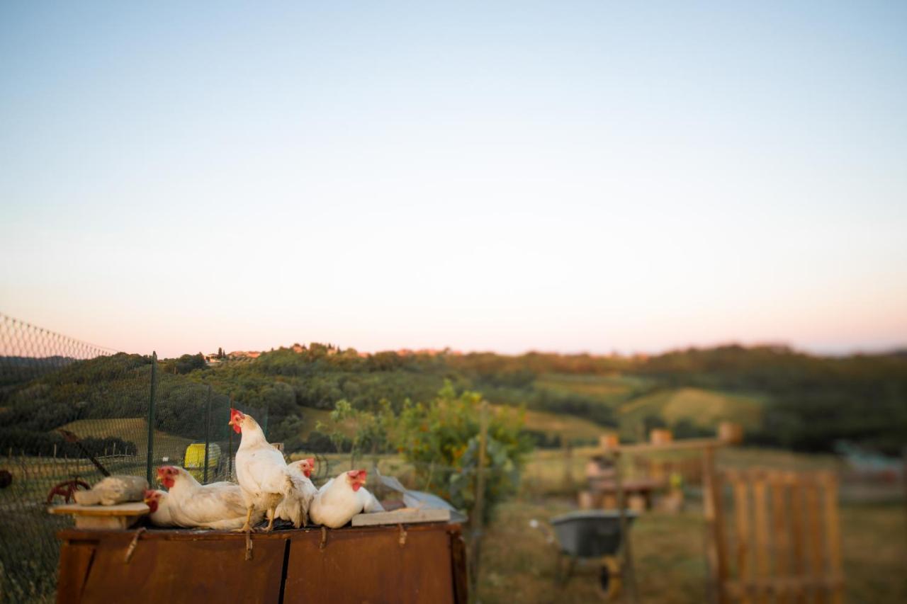 Agriturismo Le Tre Pietre - Podere Nel Chianti Quercegrossa Exterior foto